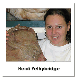 Heidi Pethybridge